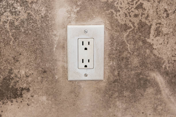 Professional Mold Removal in Nichols Hills, OK